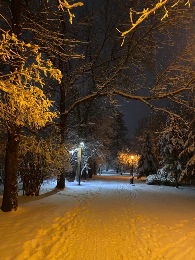 Apartament I Pokoje Goscinne U Lusi Вісла Екстер'єр фото