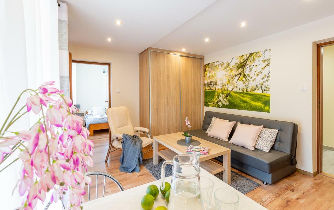 Apartament I Pokoje Goscinne U Lusi Вісла Екстер'єр фото