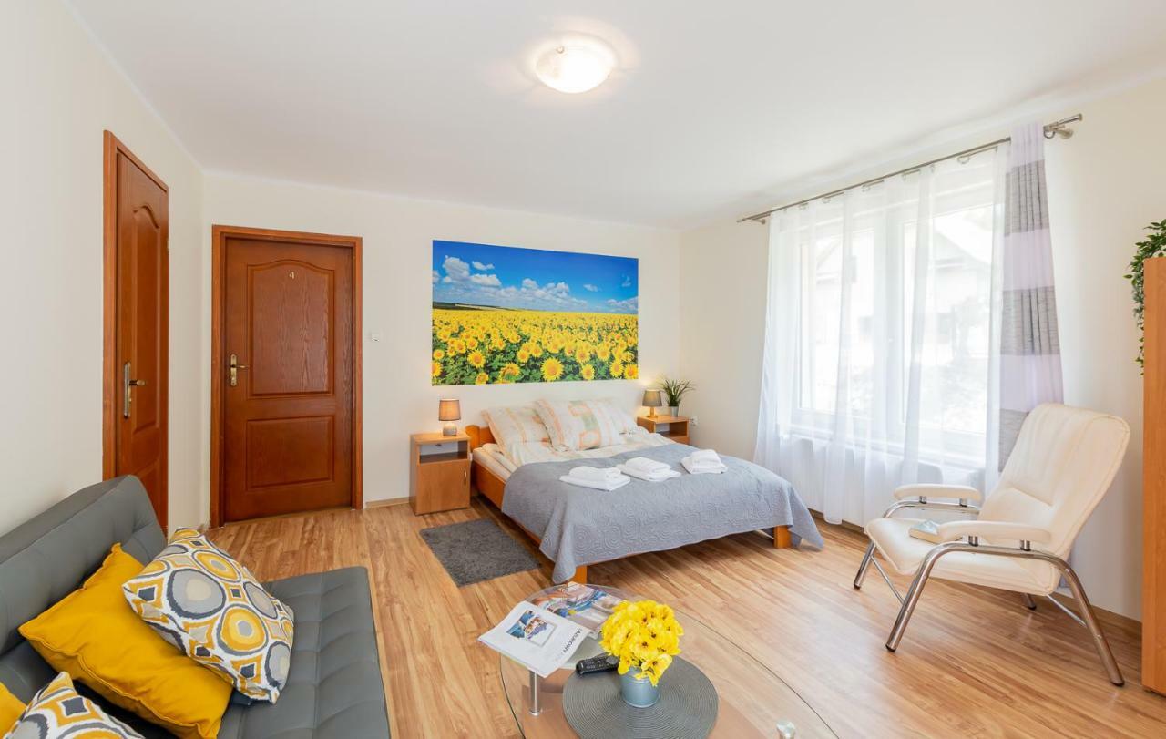 Apartament I Pokoje Goscinne U Lusi Вісла Екстер'єр фото
