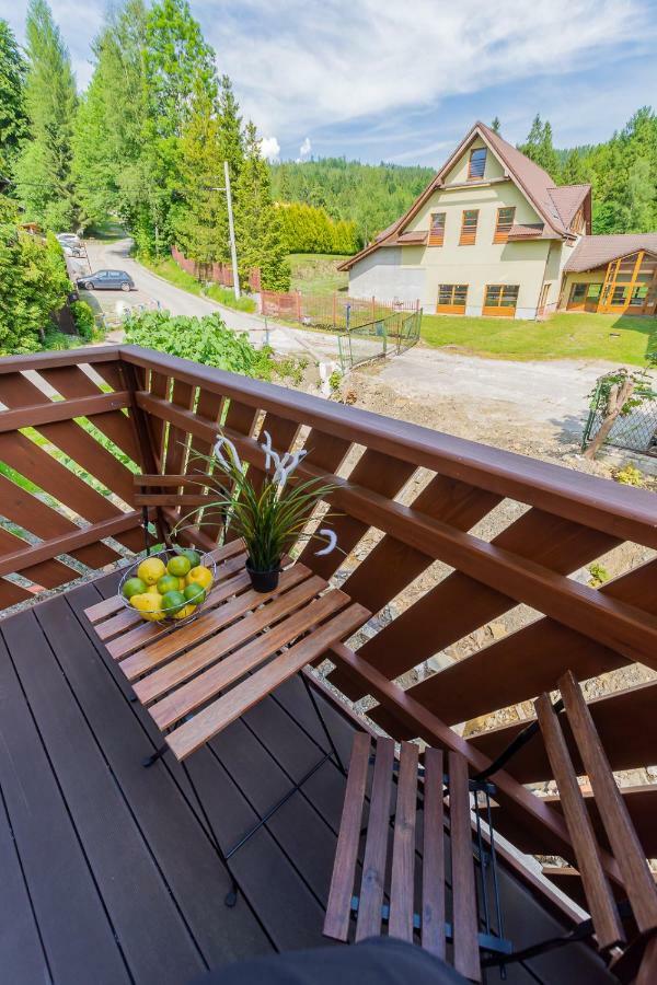 Apartament I Pokoje Goscinne U Lusi Вісла Екстер'єр фото