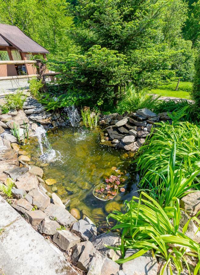 Apartament I Pokoje Goscinne U Lusi Вісла Екстер'єр фото