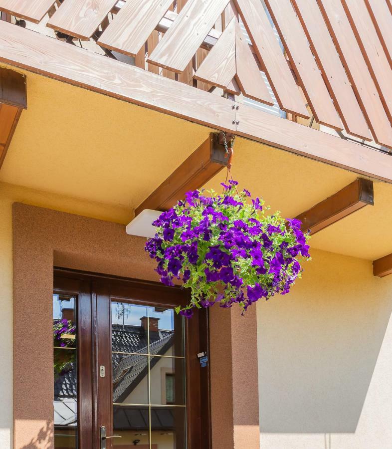 Apartament I Pokoje Goscinne U Lusi Вісла Екстер'єр фото