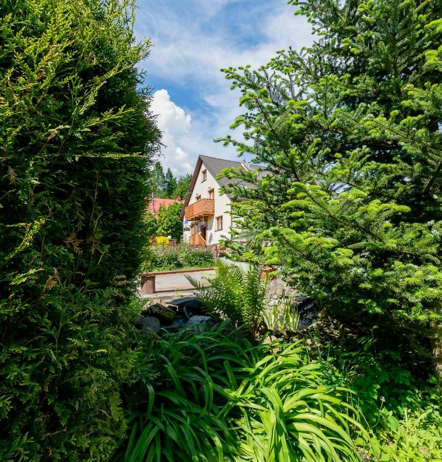 Apartament I Pokoje Goscinne U Lusi Вісла Екстер'єр фото