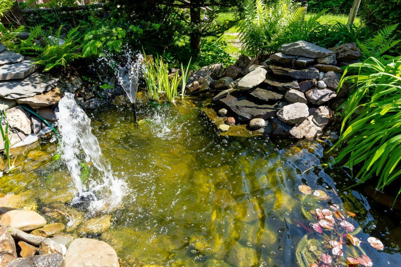 Apartament I Pokoje Goscinne U Lusi Вісла Екстер'єр фото